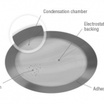 The Viaskin platform contains allergen in powdered form