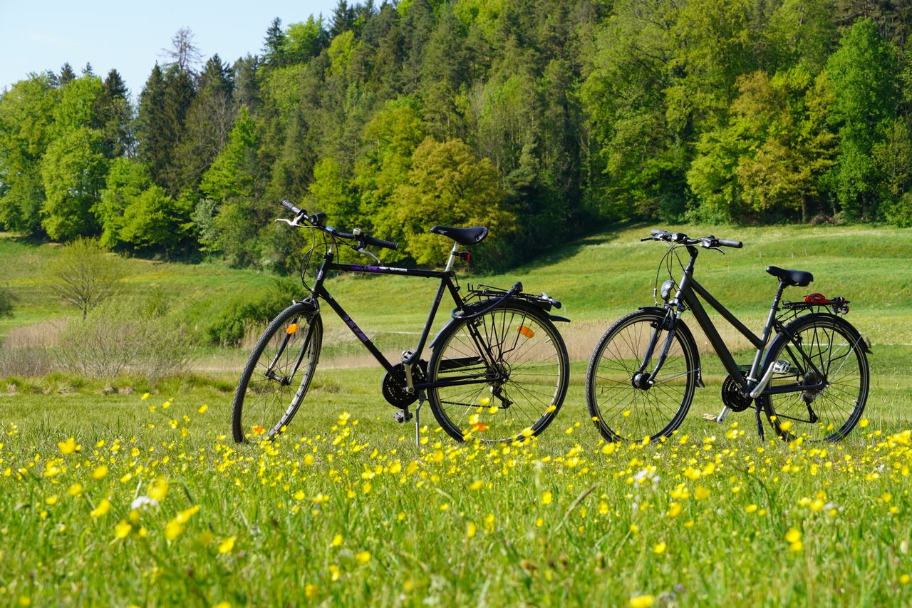 La Bretagne à vélo faites une halte au Château de Galinée