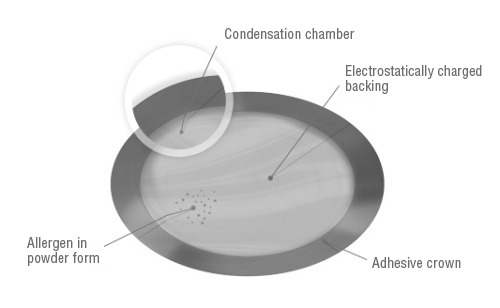 The Viaskin platform contains allergen in powdered form